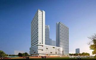 深圳公明最新爆料,揭秘神秘项目背后的真相  第2张